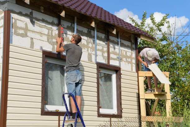 Best Insulated Siding Installation  in Sells, AZ