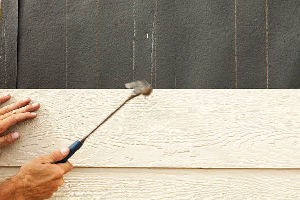 Best Fiber Cement Siding Installation  in Sells, AZ